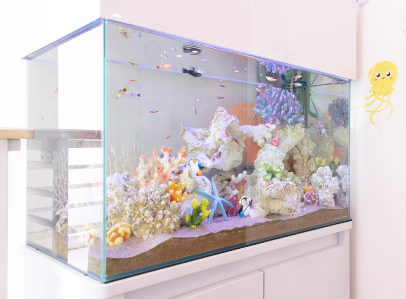 みそのこどもクリニック水槽